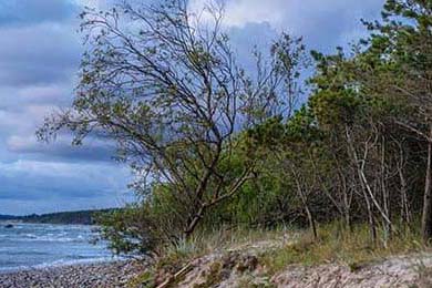 社区在线影视(奇迹社区app)