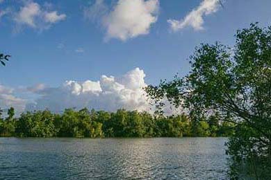 社区在线影视(奇迹社区app)